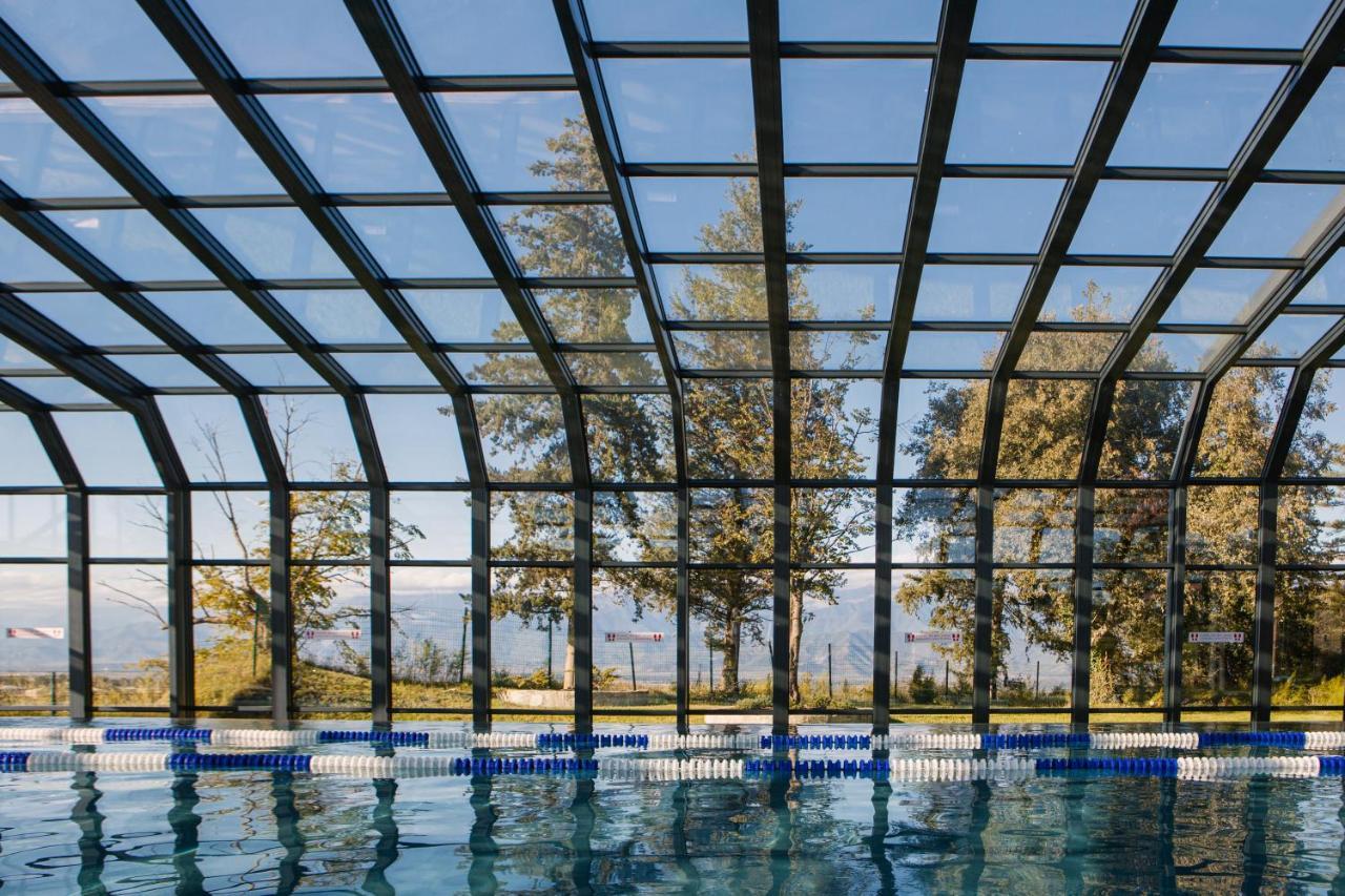 Tsinandali Estate, A Radisson Collection Hotel Eksteriør billede Swimming pool with a retractable roof